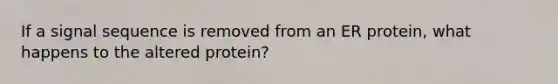 If a signal sequence is removed from an ER protein, what happens to the altered protein?