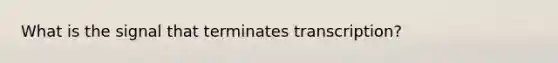 What is the signal that terminates transcription?