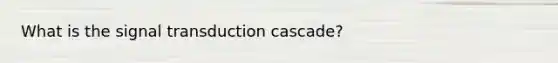 What is the signal transduction cascade?