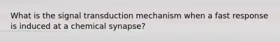 What is the signal transduction mechanism when a fast response is induced at a chemical synapse?