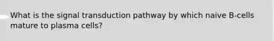 What is the signal transduction pathway by which naive B-cells mature to plasma cells?