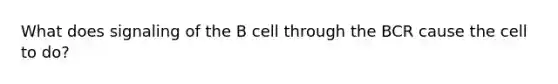 What does signaling of the B cell through the BCR cause the cell to do?