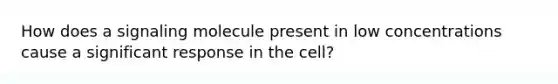 How does a signaling molecule present in low concentrations cause a significant response in the cell?