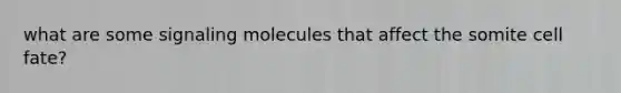 what are some signaling molecules that affect the somite cell fate?