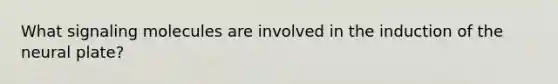 What signaling molecules are involved in the induction of the neural plate?