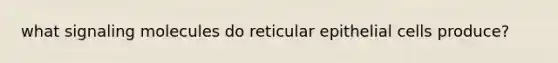 what signaling molecules do reticular epithelial cells produce?