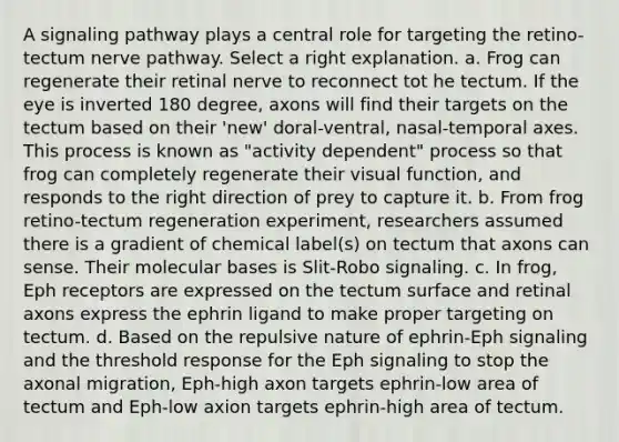 A signaling pathway plays a central role for targeting the retino-tectum nerve pathway. Select a right explanation. a. Frog can regenerate their retinal nerve to reconnect tot he tectum. If the eye is inverted 180 degree, axons will find their targets on the tectum based on their 'new' doral-ventral, nasal-temporal axes. This process is known as "activity dependent" process so that frog can completely regenerate their visual function, and responds to the right direction of prey to capture it. b. From frog retino-tectum regeneration experiment, researchers assumed there is a gradient of chemical label(s) on tectum that axons can sense. Their molecular bases is Slit-Robo signaling. c. In frog, Eph receptors are expressed on the tectum surface and retinal axons express the ephrin ligand to make proper targeting on tectum. d. Based on the repulsive nature of ephrin-Eph signaling and the threshold response for the Eph signaling to stop the axonal migration, Eph-high axon targets ephrin-low area of tectum and Eph-low axion targets ephrin-high area of tectum.