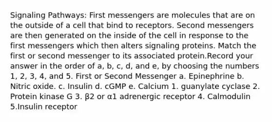 Signaling Pathways: First messengers are molecules that are on the outside of a cell that bind to receptors. Second messengers are then generated on the inside of the cell in response to the first messengers which then alters signaling proteins. Match the first or second messenger to its associated protein.Record your answer in the order of a, b, c, d, and e, by choosing the numbers 1, 2, 3, 4, and 5. First or Second Messenger a. Epinephrine b. Nitric oxide. c. Insulin d. cGMP e. Calcium 1. guanylate cyclase 2. Protein kinase G 3. β2 or α1 adrenergic receptor 4. Calmodulin 5.Insulin receptor