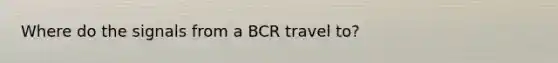 Where do the signals from a BCR travel to?