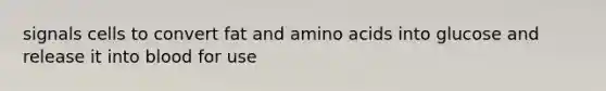 signals cells to convert fat and <a href='https://www.questionai.com/knowledge/k9gb720LCl-amino-acids' class='anchor-knowledge'>amino acids</a> into glucose and release it into blood for use