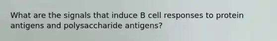 What are the signals that induce B cell responses to protein antigens and polysaccharide antigens?