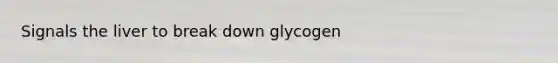 Signals the liver to break down glycogen