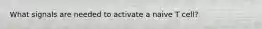What signals are needed to activate a naive T cell?