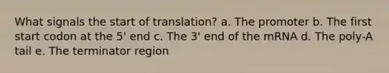 What signals the start of translation? a. The promoter b. The first start codon at the 5' end c. The 3' end of the mRNA d. The poly-A tail e. The terminator region