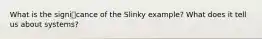 What is the signicance of the Slinky example? What does it tell us about systems?