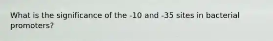 What is the significance of the -10 and -35 sites in bacterial promoters?