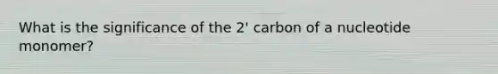 What is the significance of the 2' carbon of a nucleotide monomer?