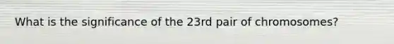 What is the significance of the 23rd pair of chromosomes?