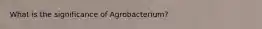 What is the significance of Agrobacterium?