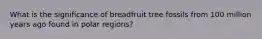 What is the significance of breadfruit tree fossils from 100 million years ago found in polar regions?