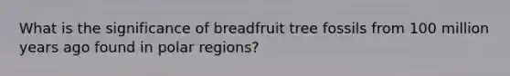 What is the significance of breadfruit tree fossils from 100 million years ago found in polar regions?