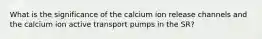 What is the significance of the calcium ion release channels and the calcium ion active transport pumps in the SR?