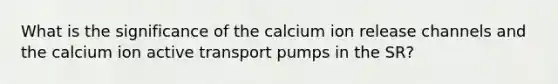 What is the significance of the calcium ion release channels and the calcium ion active transport pumps in the SR?