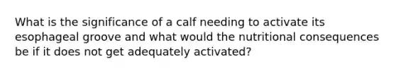 What is the significance of a calf needing to activate its esophageal groove and what would the nutritional consequences be if it does not get adequately activated?