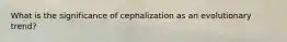 What is the significance of cephalization as an evolutionary trend?