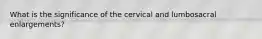 What is the significance of the cervical and lumbosacral enlargements?