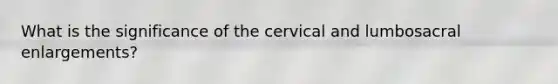 What is the significance of the cervical and lumbosacral enlargements?