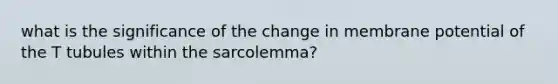 what is the significance of the change in membrane potential of the T tubules within the sarcolemma?