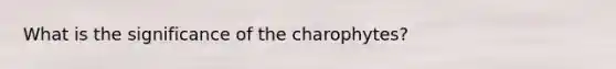 What is the significance of the charophytes?