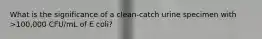 What is the significance of a clean-catch urine specimen with >100,000 CFU/mL of E coli?