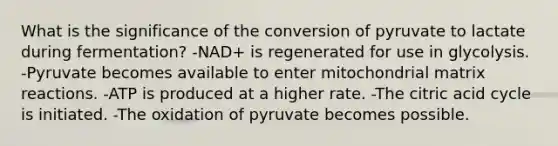 What is the significance of the conversion of pyruvate to lactate during fermentation? -NAD+ is regenerated for use in glycolysis. -Pyruvate becomes available to enter mitochondrial matrix reactions. -ATP is produced at a higher rate. -The citric acid cycle is initiated. -The oxidation of pyruvate becomes possible.