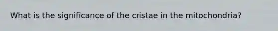 What is the significance of the cristae in the mitochondria?