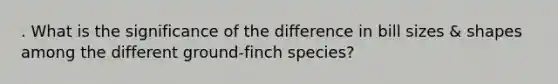 . What is the significance of the difference in bill sizes & shapes among the different ground-finch species?