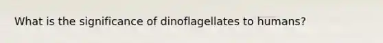 What is the significance of dinoflagellates to humans?