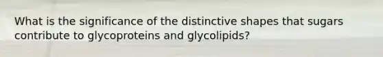 What is the significance of the distinctive shapes that sugars contribute to glycoproteins and glycolipids?