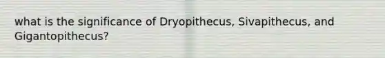 what is the significance of Dryopithecus, Sivapithecus, and Gigantopithecus?