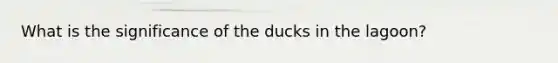 What is the significance of the ducks in the lagoon?