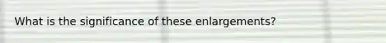 What is the significance of these enlargements?