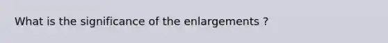 What is the significance of the enlargements ?