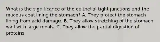 What is the significance of the epithelial tight junctions and the mucous coat lining the stomach? A. They protect the stomach lining from acid damage. B. They allow stretching of the stomach wall with large meals. C. They allow the partial digestion of proteins.