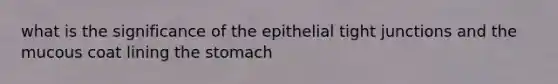 what is the significance of the epithelial tight junctions and the mucous coat lining the stomach