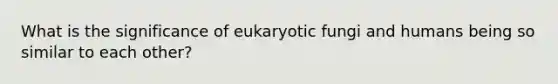 What is the significance of eukaryotic fungi and humans being so similar to each other?