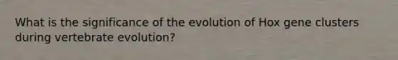 What is the significance of the evolution of Hox gene clusters during vertebrate evolution?