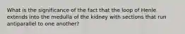 What is the significance of the fact that the loop of Henle extends into the medulla of the kidney with sections that run antiparallel to one another?