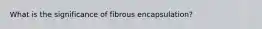 What is the significance of fibrous encapsulation?