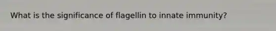 What is the significance of flagellin to innate immunity?